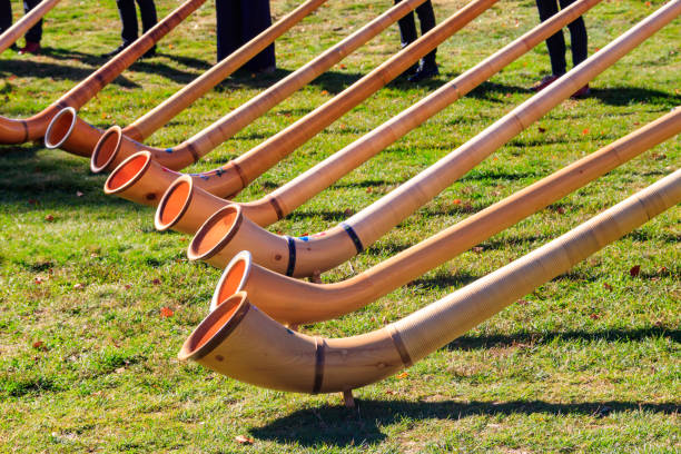istock Alphorns laying on the grass on the alpine meadow 1918981872