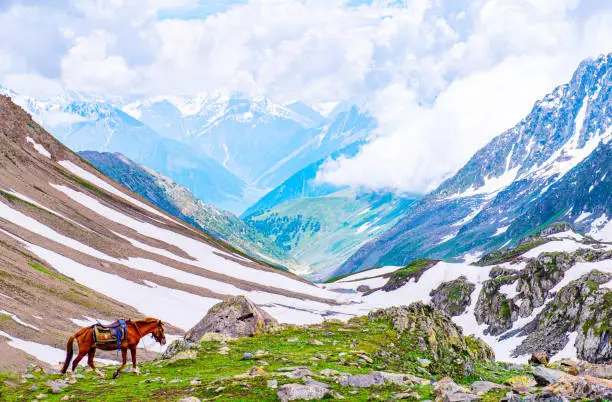 Photo of Landscape in the mountains. Panoramic view from the top of Sonmarg, Kashmir valley in the Himalayan region india .