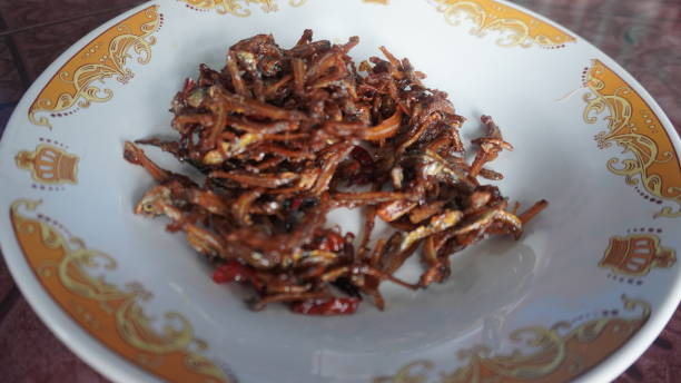 istock Indonesian anchovy chili sauce 1919019020