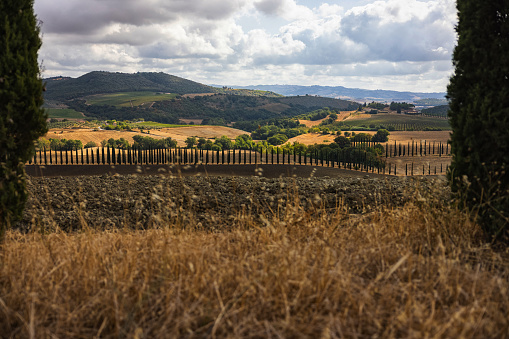 Typical Tuscany view: Chianti and Val d'Orcia country landscape