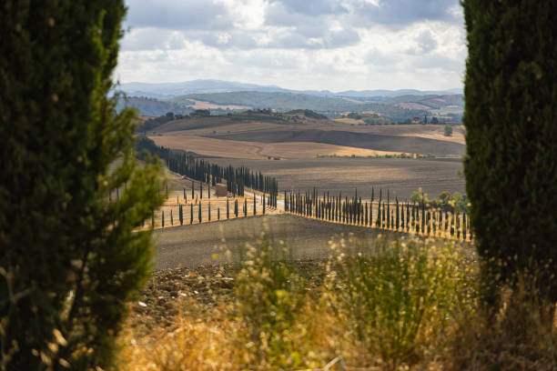 Typical Tuscany view: Chianti and Val d'Orcia country landscape