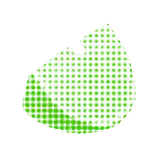 ilustraciones, imágenes clip art, dibujos animados e iconos de stock de pieza verde lima cortada, aislada sobre fondo blanco - lime green illustrations