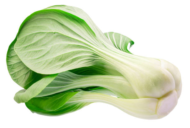 Fresh bok choy or chinese cabbage isolated on white background. File contains clipping path.