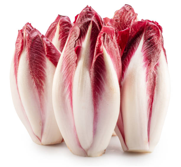 istock Red endives or italian chicoris on white background. File contains clipping path. 1919049235