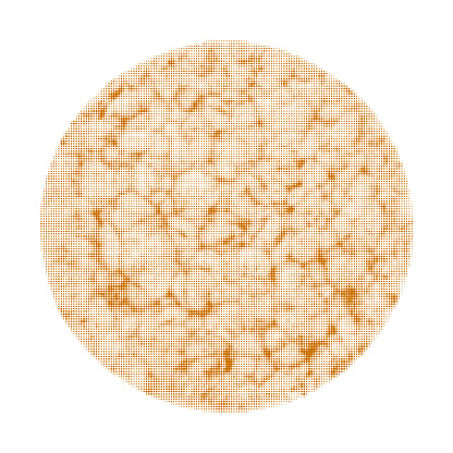 cornflake bread, round, one, isolated on white background