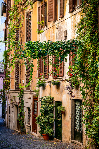 A typical and characteristic alley in the Rione Monti formerly called the Suburra district, in the heart of the historic center of Rome, decorated with climbing plants and bougainvillea. The Monti district is a popular and multi-ethnic quarter much loved by the younger generations and tourists for the presence of trendy pubs, fashion shops and restaurants, where you can find the true soul of the Eternal City. The Rione Monti, located between Via Nazionale and the Fori Imperiali, is also rich in numerous churches in Baroque style and archaeological remains. In 1980 the historic center of Rome was declared a World Heritage Site by Unesco. Image in high definition quality.