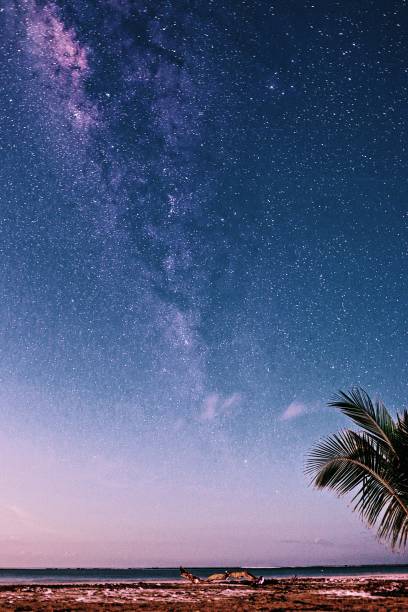 istock Milky Way over Samara Beach, Costa Rica 1919054501