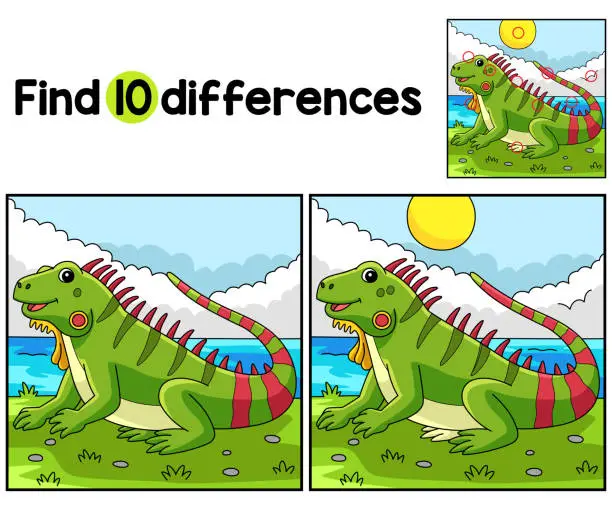 Vector illustration of Iguana Animal Find The Differences