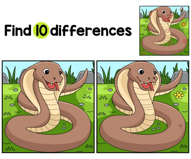 Vector illustration of Cobra Animal Find The Differences