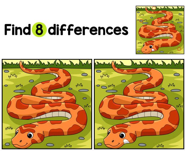 zwierzę węża zbożowego znajdź różnice - rat snake illustrations stock illustrations