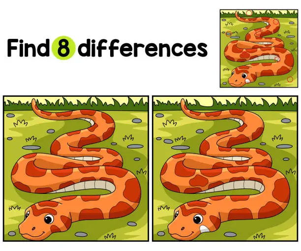 Vector illustration of Corn Snake Animal Find The Differences