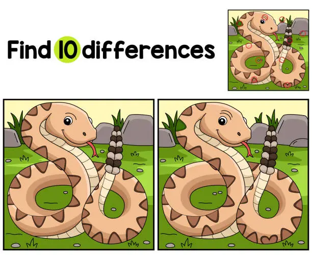 Vector illustration of Rattlesnake Animal Find The Differences