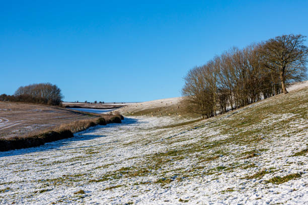 istock Snow covered fields in the South Downs on a sunny winter's day 1919105239