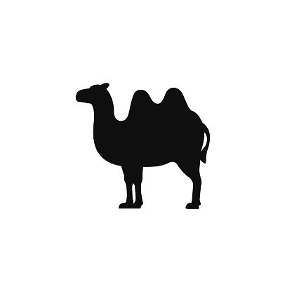 Camel icon isolated on white background