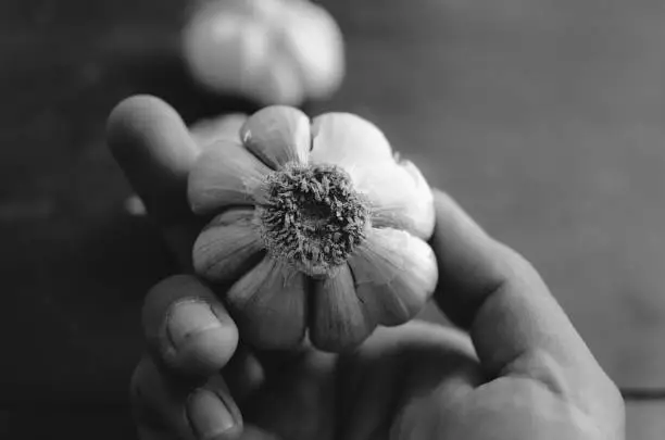 Photo of indian garlic close up