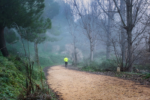 Sportsman running on a path flanked by trees on a foggy day.