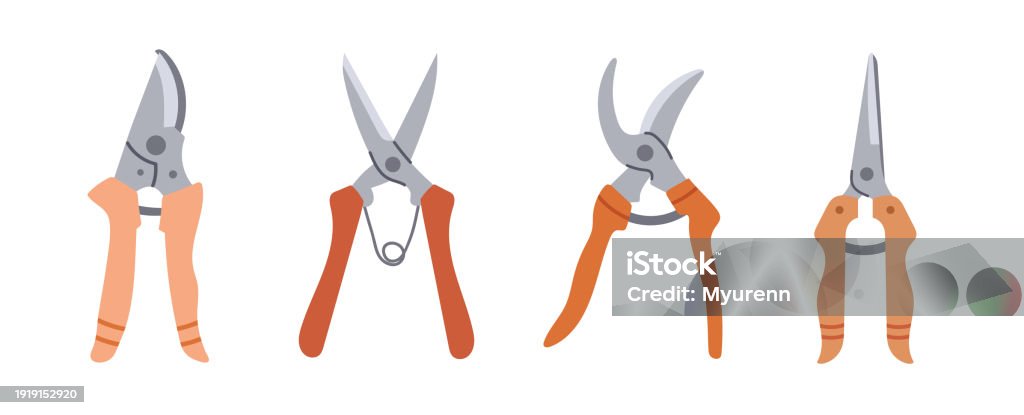 Shears Stock Image Handdrawn Garden Shears Vector Illustration Stock Illustration ...