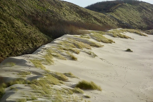 A beach scene featuring dunes with grass