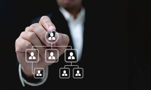 istock Organizational Structure of an Enterprise or a Company 1919161244