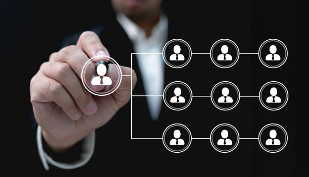 istock Organizational Structure of an Enterprise or a Company 1919161250