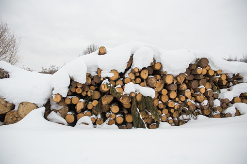 Timber is stacked and covered with snow.