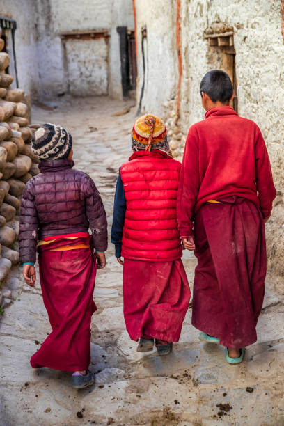 a young tibetan buddhist monk, lo manthang, upper mustang, nepal - monk tibet buddhism china ストックフォトと画像