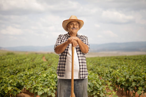 istock Farmer leaning on a shovel on a vineyard 1919201646