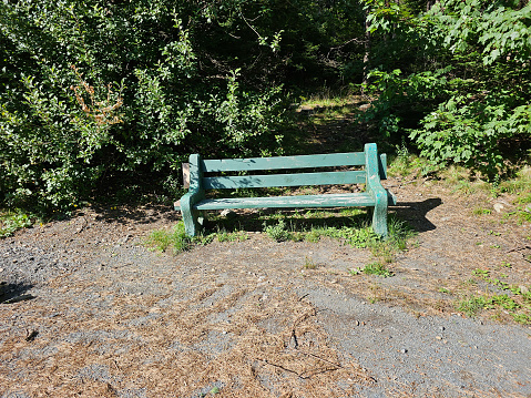 A weathered park bench running alongside a hiking trail.