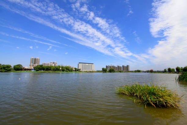 Wide water surface and buildings in a park