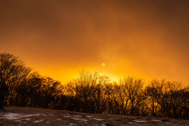 sunrise in the fog