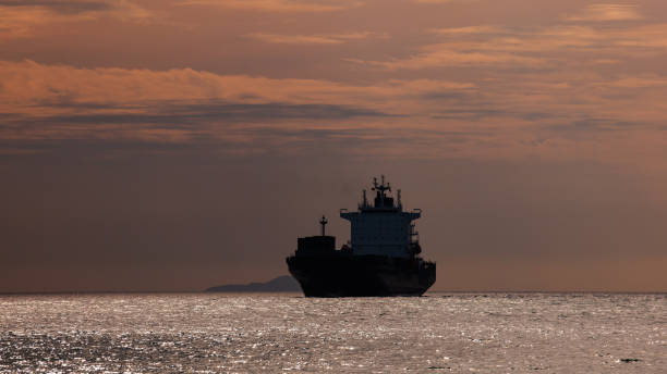 istock Seascape and silhouette container ship floating in sea 1919231981