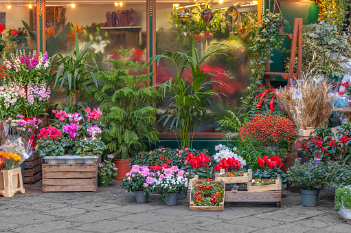 Street flower shop with colorful flowers