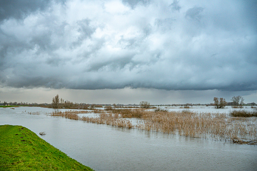 IJssel river with high water level on the floodplains of the river IJssel after a long period of heavy rain upstream in December 2023.