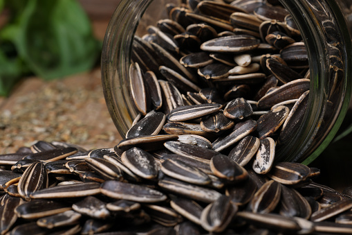 Sunflower seeds