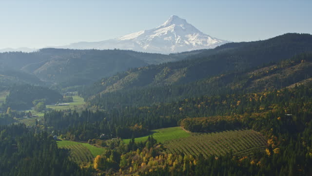 AERIAL Above a sunny countryside in Oregon with view of Mount Hood, USA