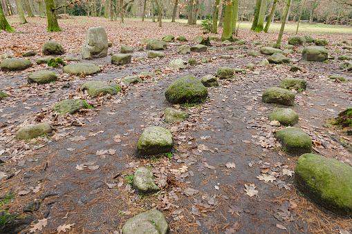 selective focus on the stones in the forest, which are used to make a stone labyrinth among the trees