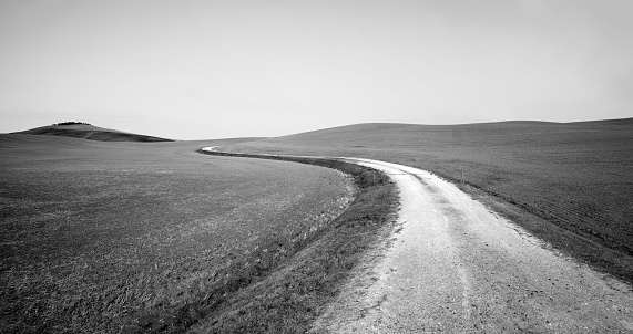 Pienza (Si), Italy,  landscape of the dirt road on the hills