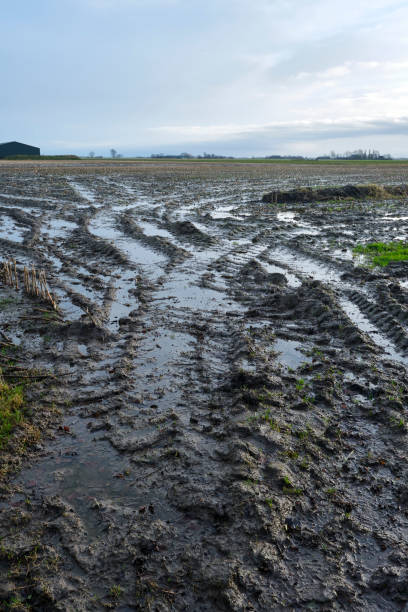 istock A flooded agricultural field due to heavy rainfall 1919273728