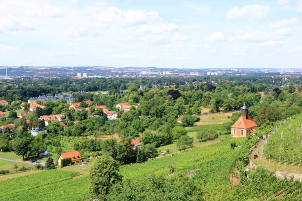istock view over Dresden from the Pillnitz vineyards 1919275870