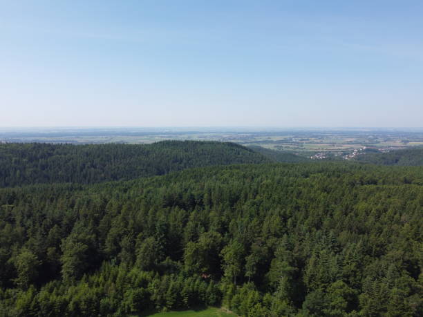 istock Bavarian forest with fields and meadows, aerial 1919277481