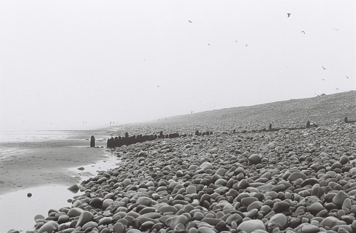 father and daughter on the beach. Black and white photo. 