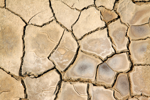 dry ground in the outdoors, closeup of photo