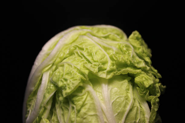 Tight Head Of Peking Cabbage Isolated On Black Backdrop