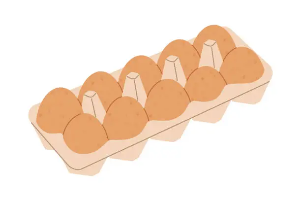 Vector illustration of Cartoon eggs in tray. Chicken eggs in carton box. Flat vector illustration isolated on white background