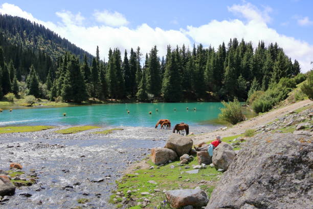 people enjoy the nature in the north of kyrgyzstan mountains - cowboy blue meadow horizontal stock-fotos und bilder