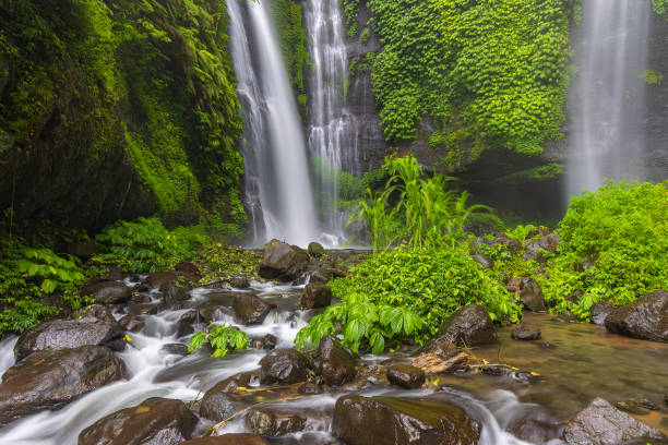 istock Fiji Waterfall in Bali Island, Indonesia 1919387538