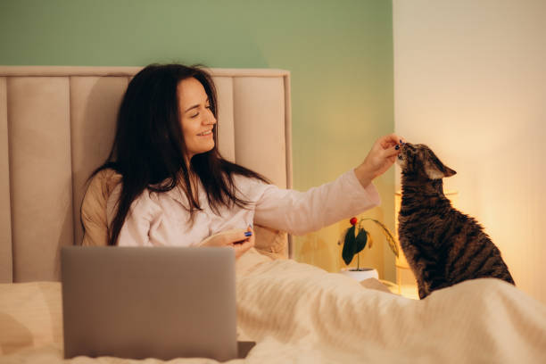 istock woman dressed in pajamas lying in bed feeding a cat 1919406688
