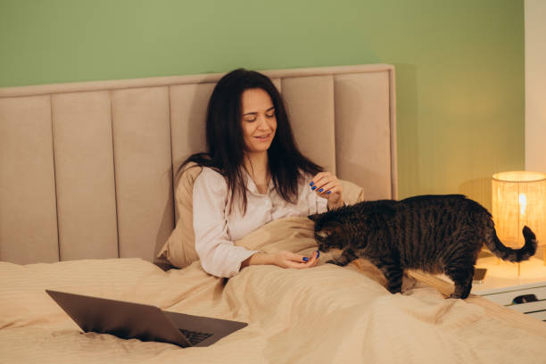 istock woman dressed in pajamas lying in bed feeding a cat 1919406689