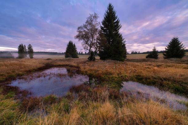 istock some small puddles in the grass under the clouds, 1919428976