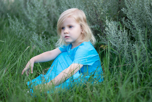 A young girl exploring a blooming meadow with her bug net in hand.  She is walking through a field full of wildflowers in Vermont exploring all nature has to offer.